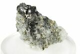 Lustrous Pyrite & Sphalerite on Quartz - Peru #250279-1